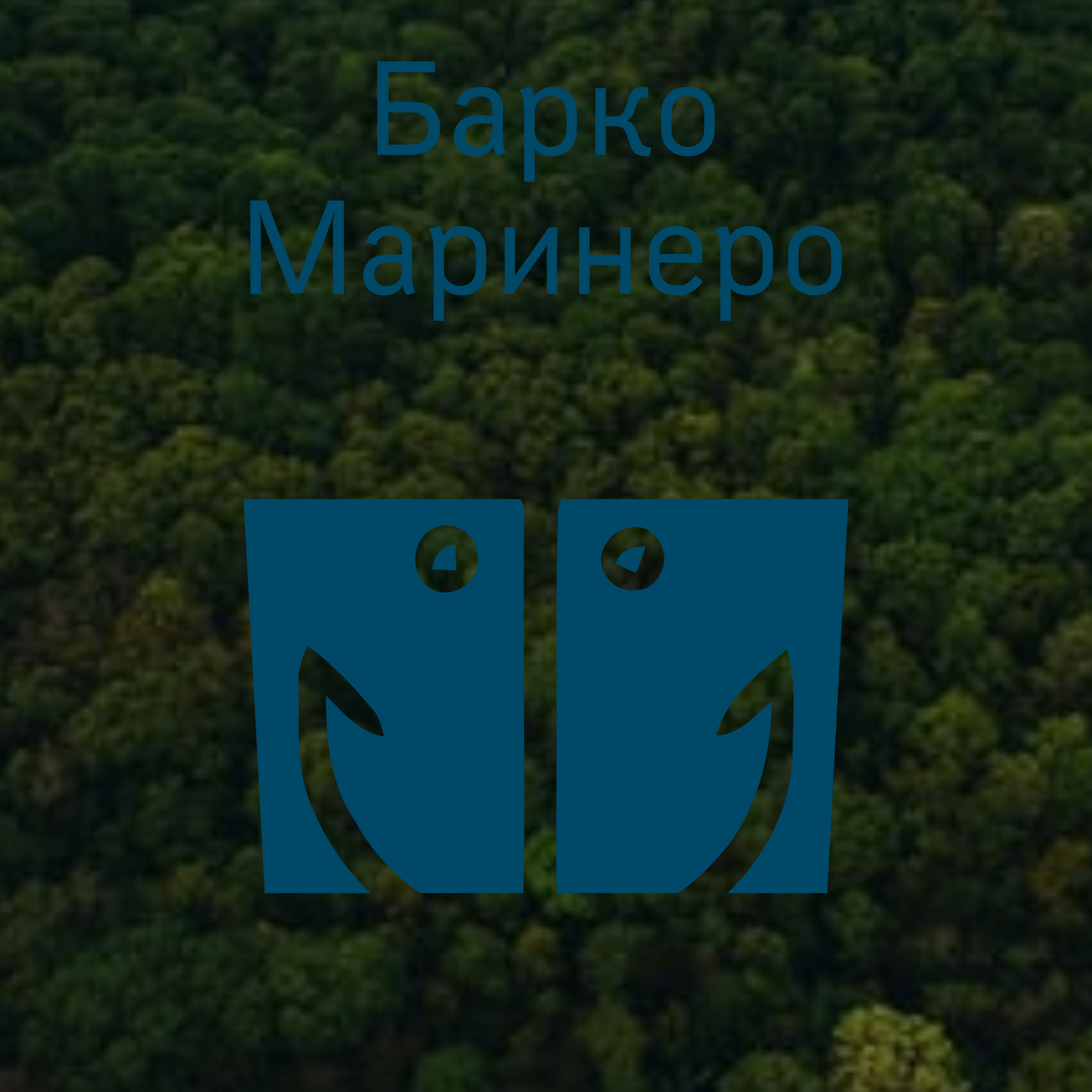Logo of Барко Маринеро
