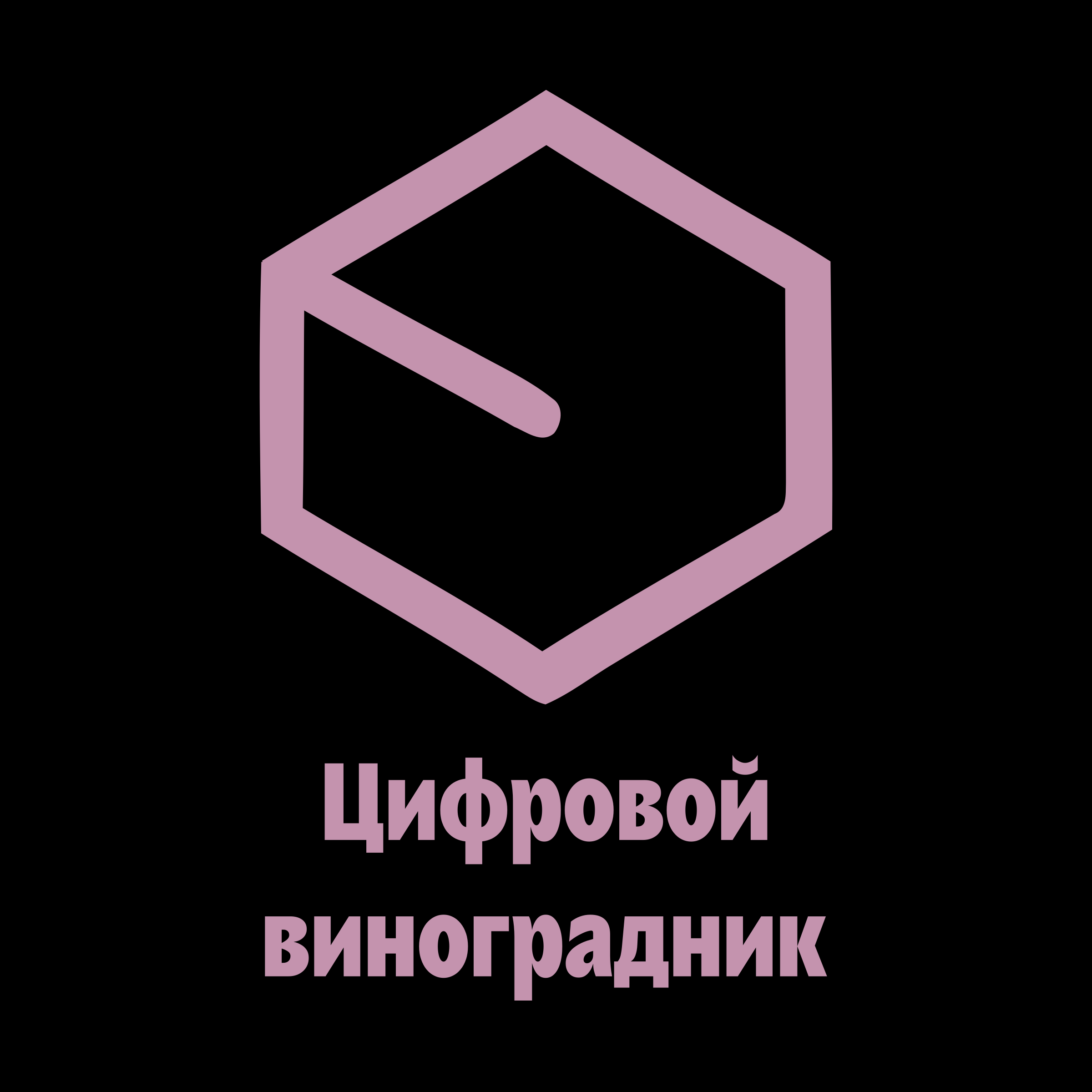 Logo of Цифровой виноградник