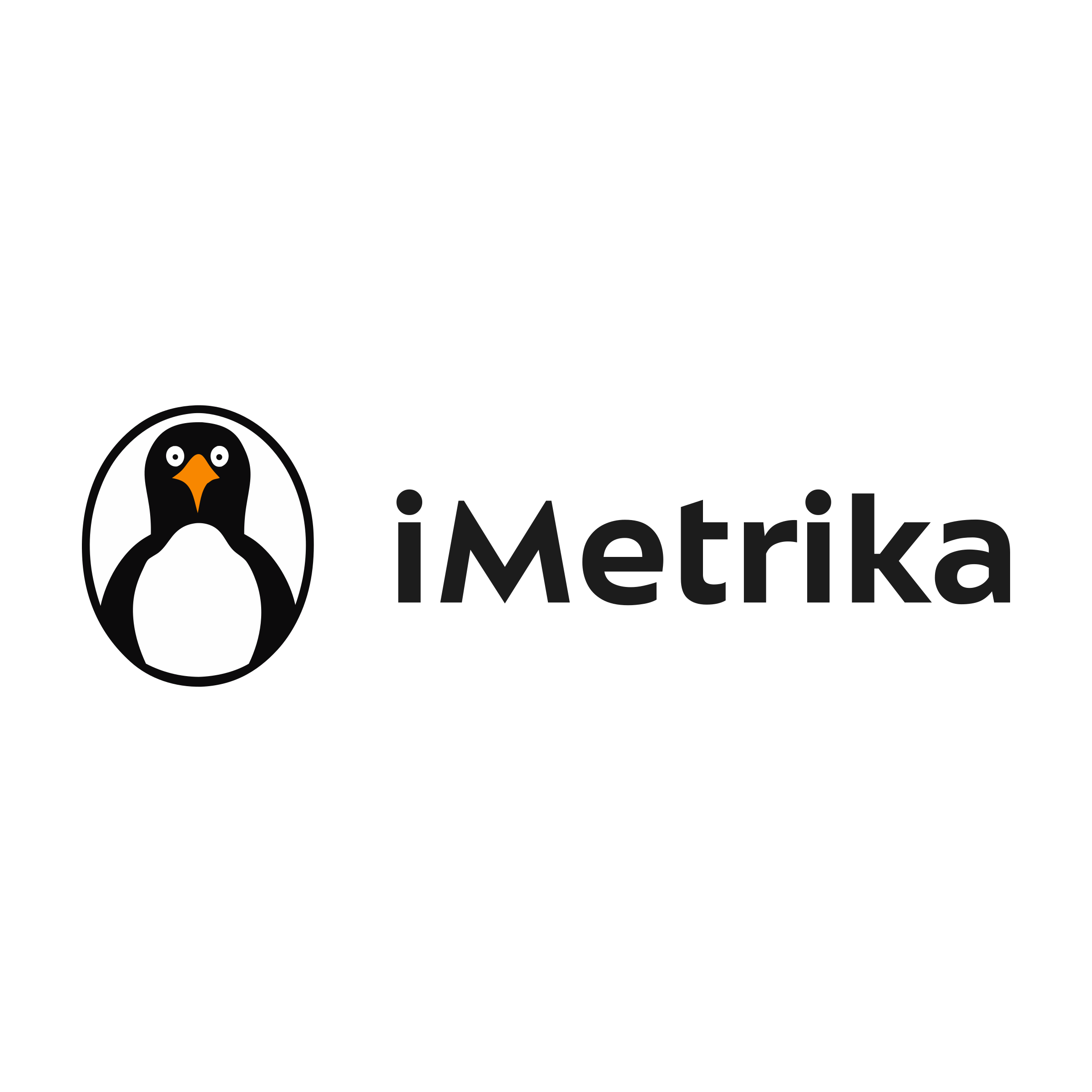 Logo of iMetrika