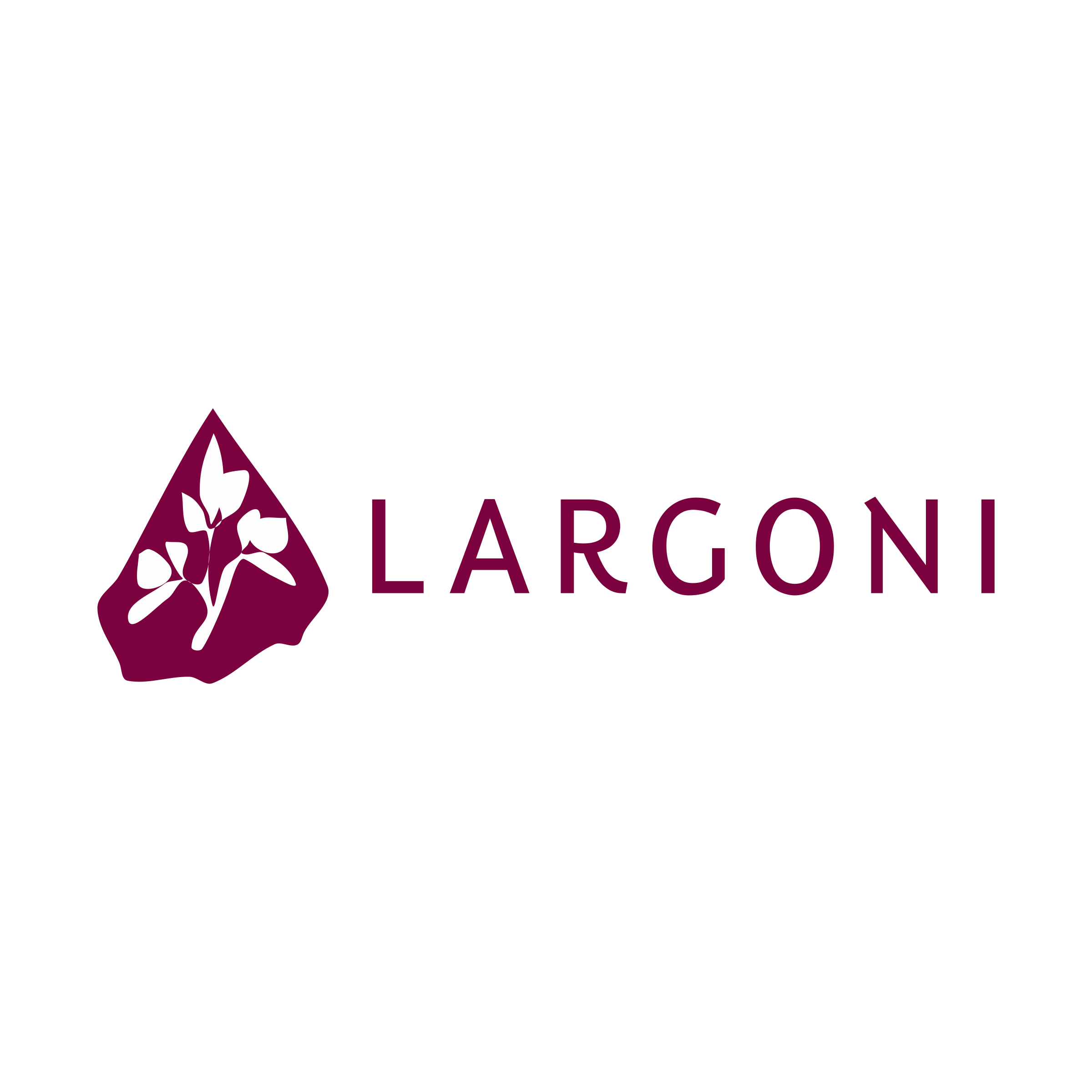 Logo of LARGONI