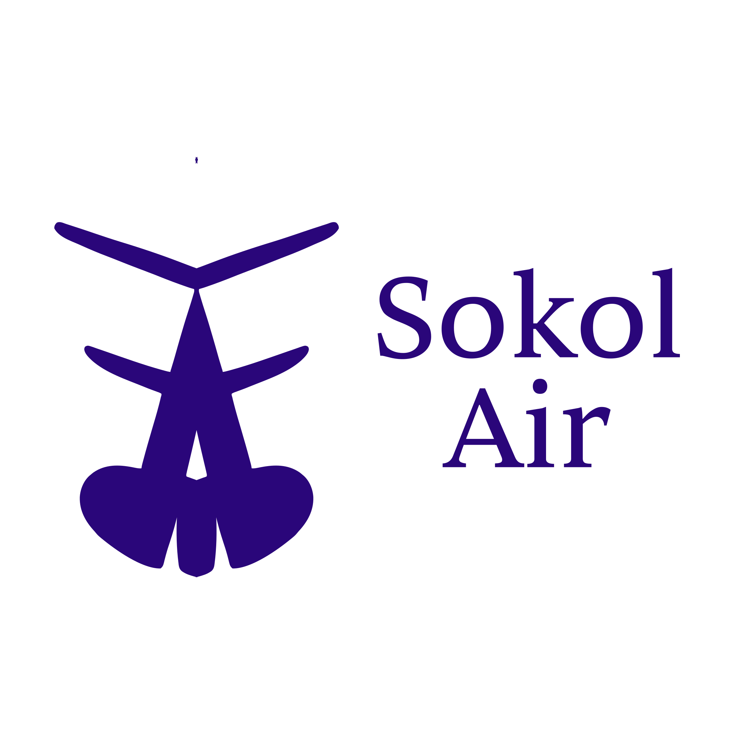 Logo of Sokol Air