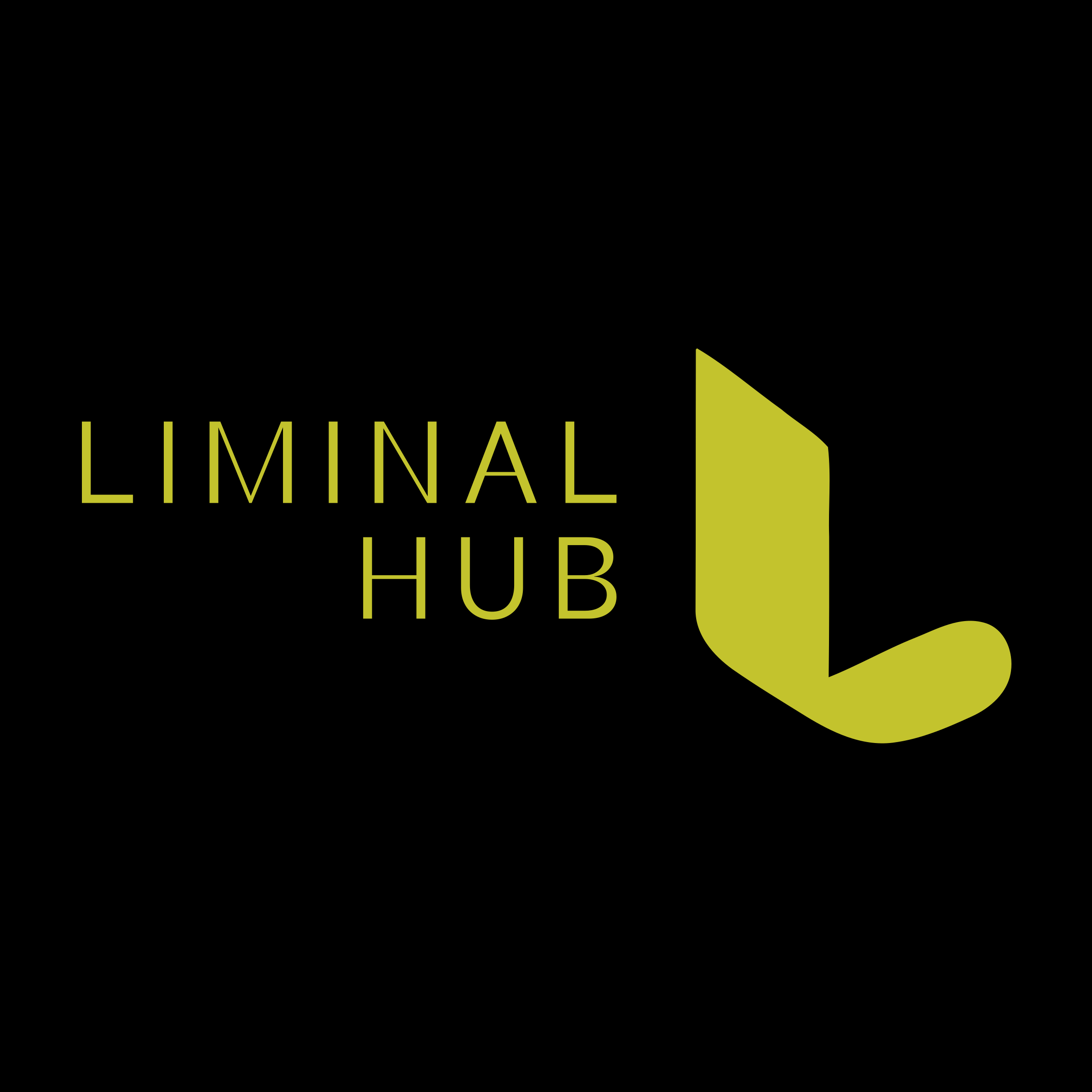Logo of Liminal Hub Logo of Liminal Hub