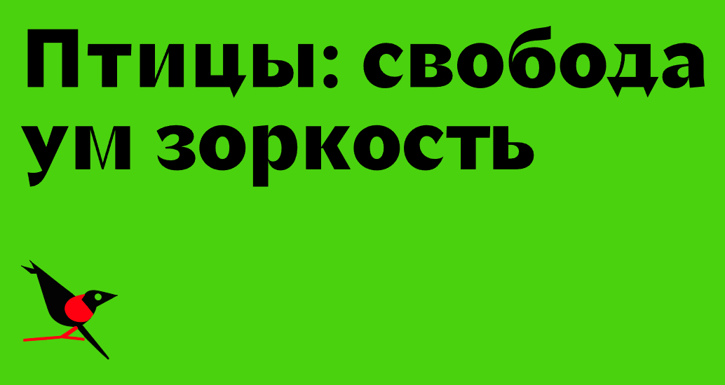 Логотип компании «Соколов» 5