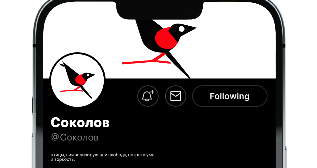Logo of Соколов