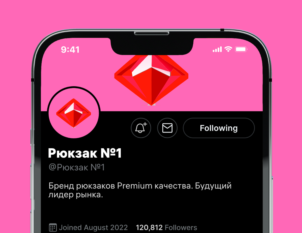 Logo of Рюкзак №1