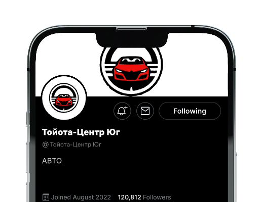 Логотип компании «Тойота-Центр Юг» 1