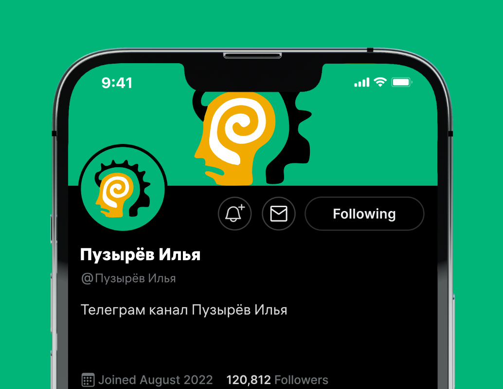 Logo of Пузырёв Илья