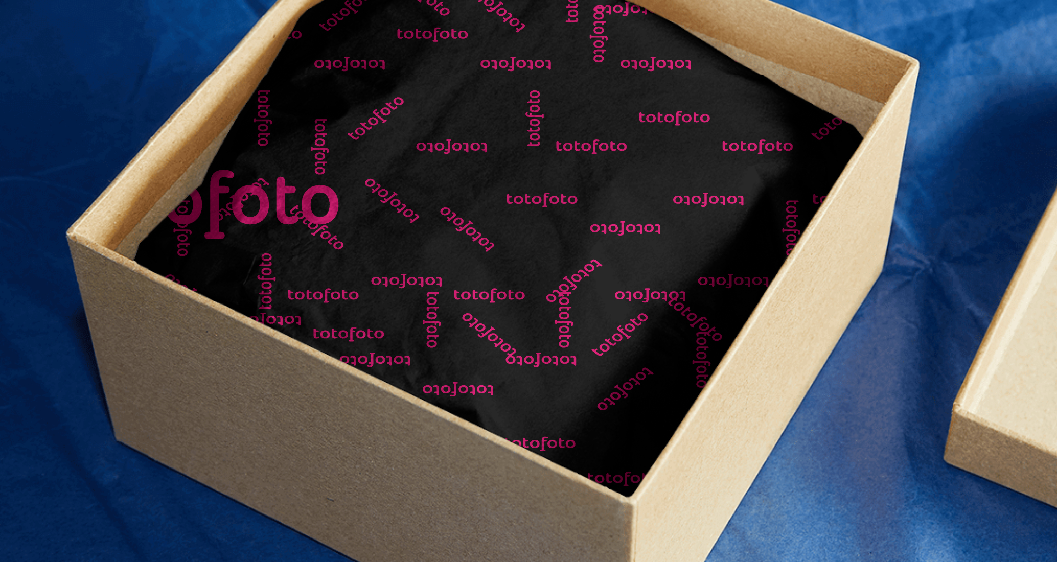 Company logo «totofoto» 3