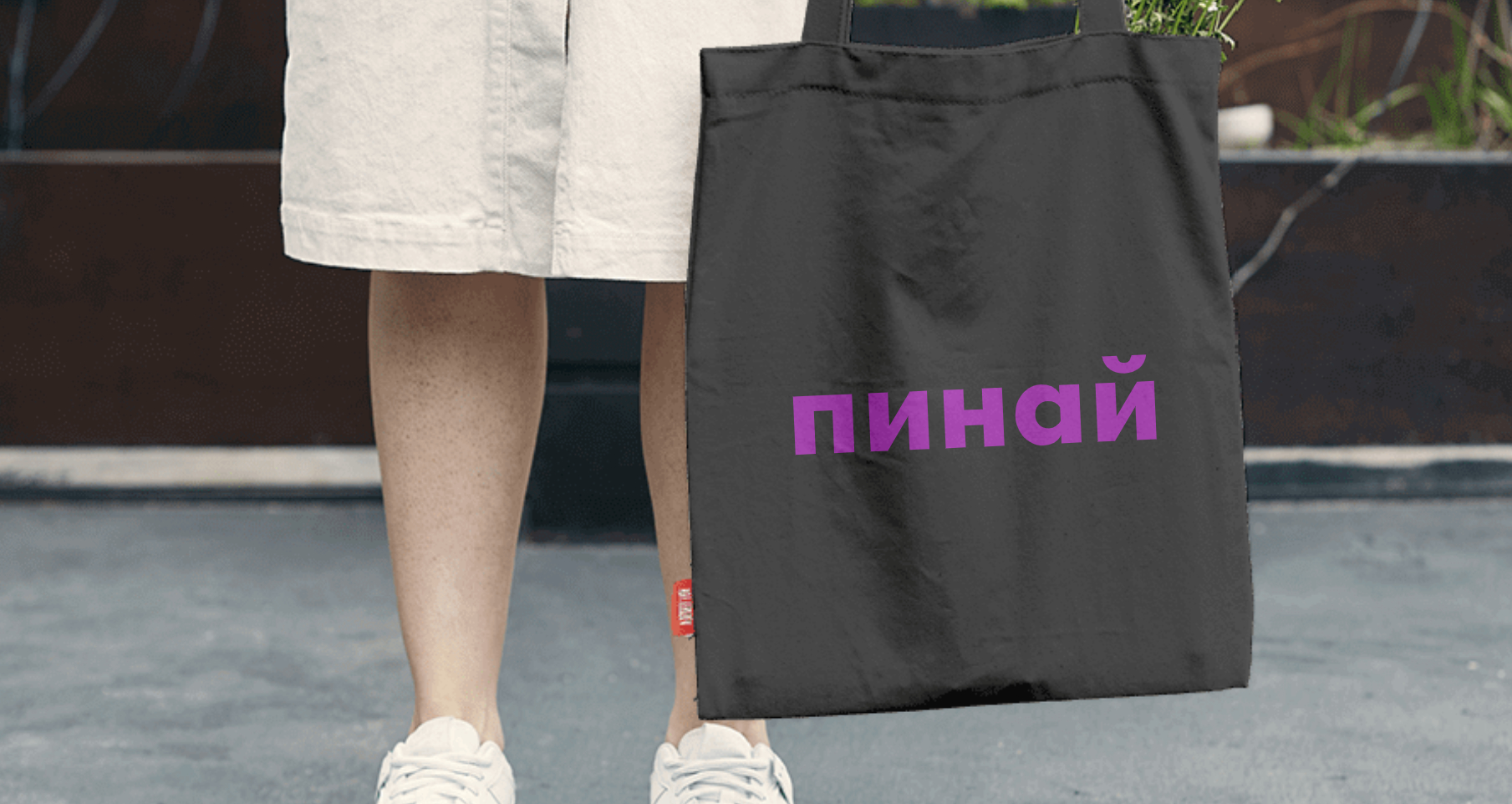 Логотип компании «пинай» 3