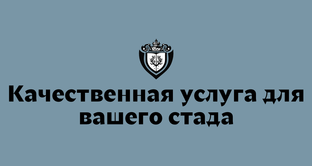 Логотип компании «Мирослав Головин» 5