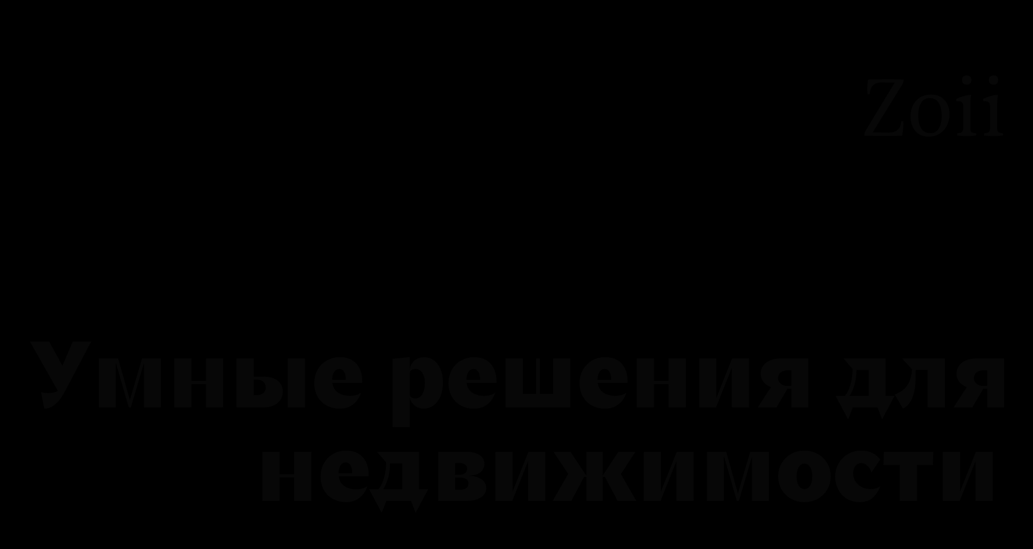 Логотип компании «Zoii» 5