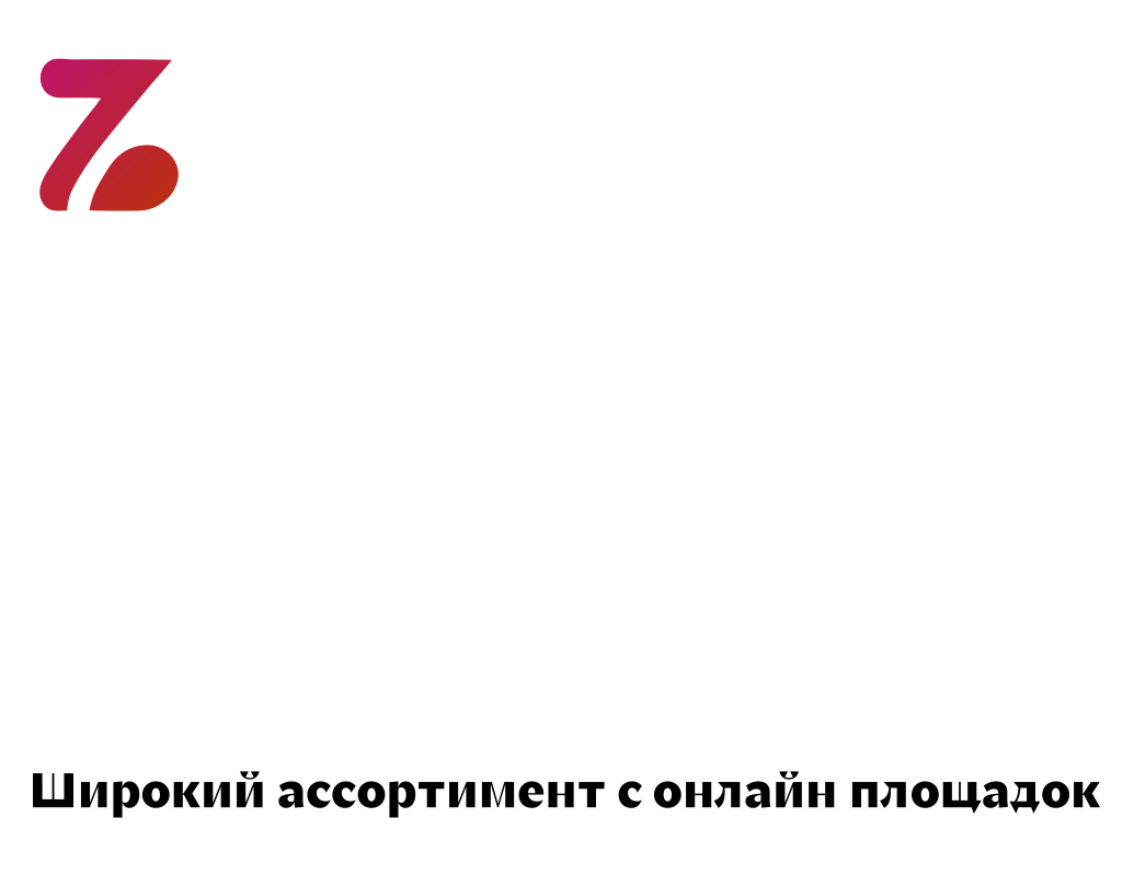 Логотип компании «ZVD.Store» 5