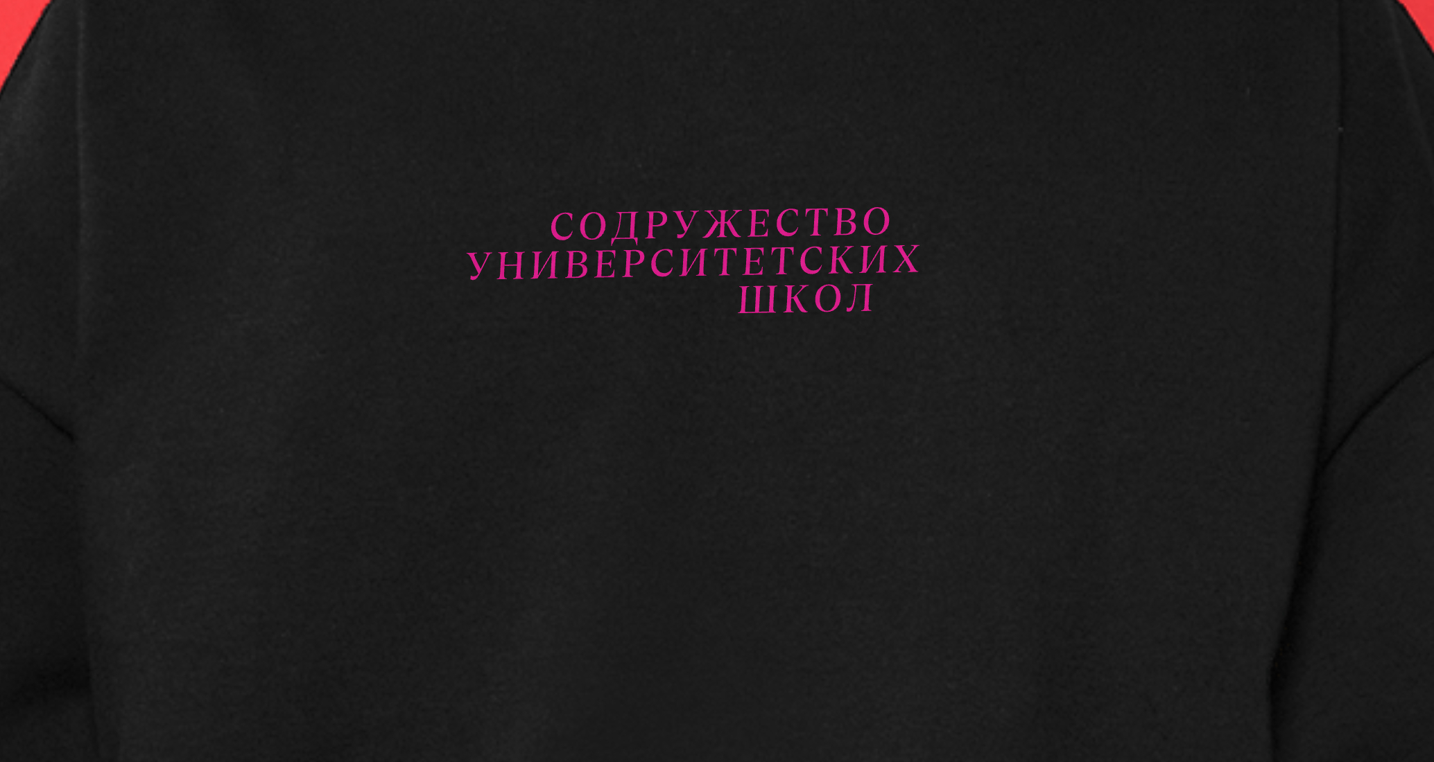Логотип компании «Содружество университетских школ» 3
