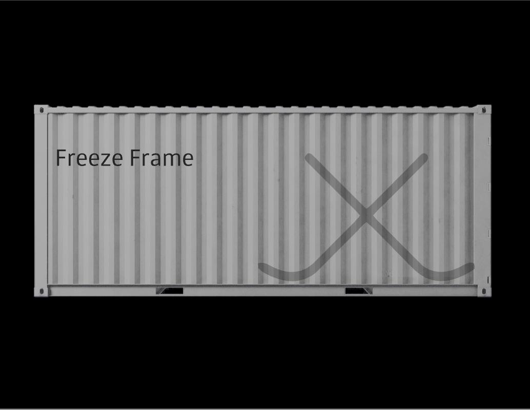 Логотип компании «Freeze Frame» 2