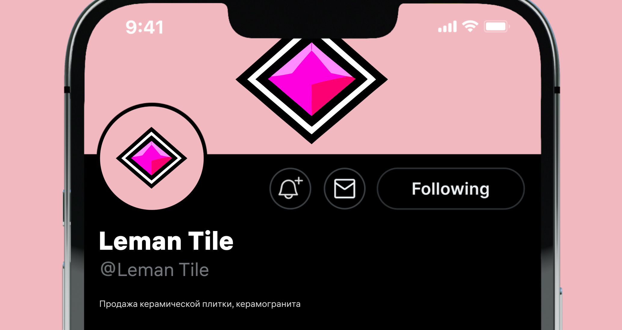 Company logo «Leman Tile» 1