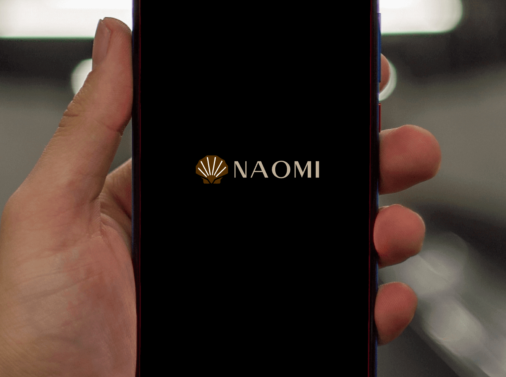 Company logo «NAOMI» 1