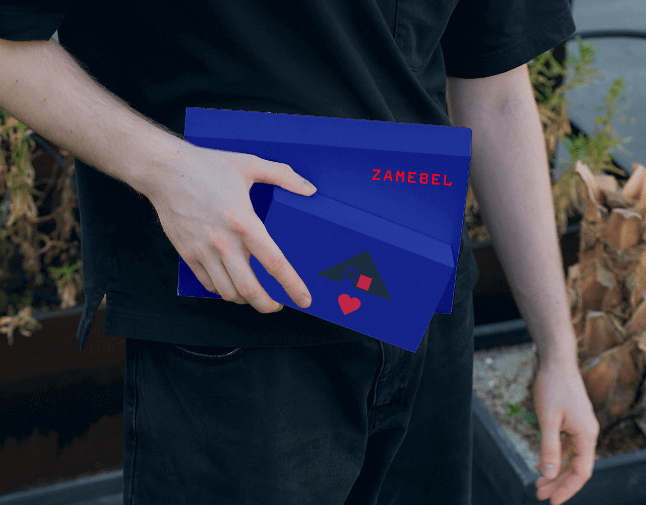 Company logo «ZAMEBEL» 3