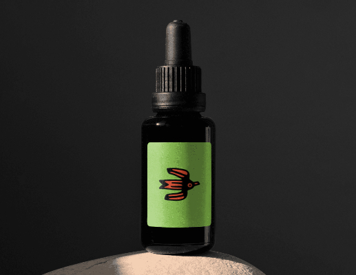 Логотип компании «apus.studio» 2