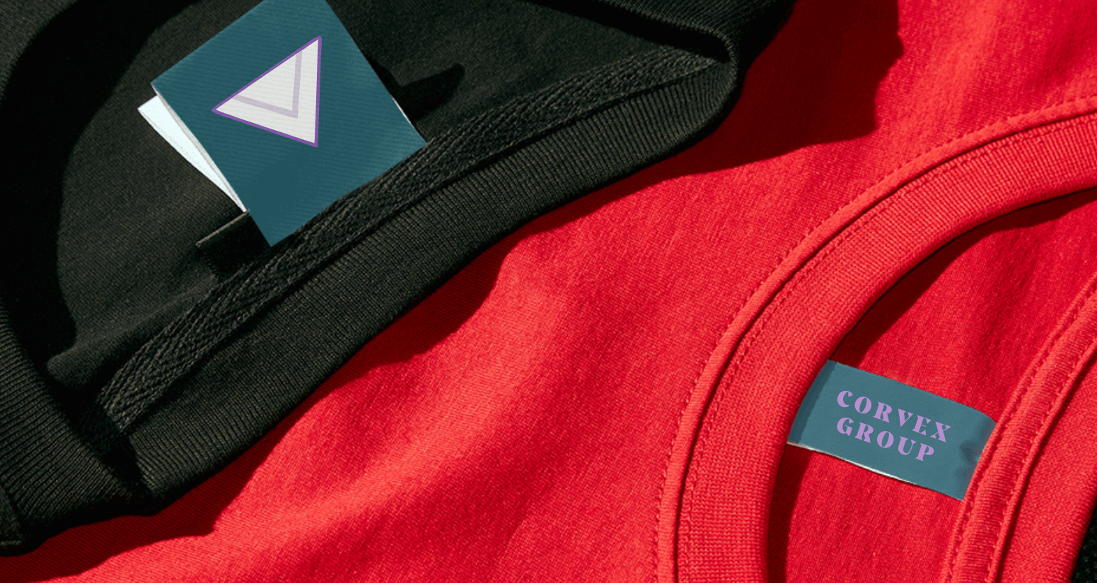 Company logo «CORVEX GROUP» 3