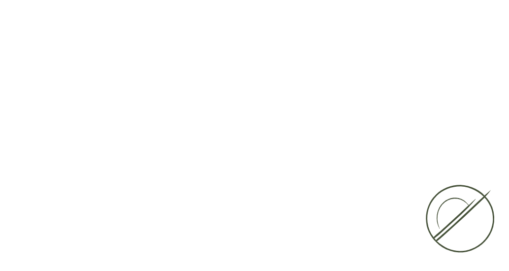 Логотип компании «KNX Solutions» 5