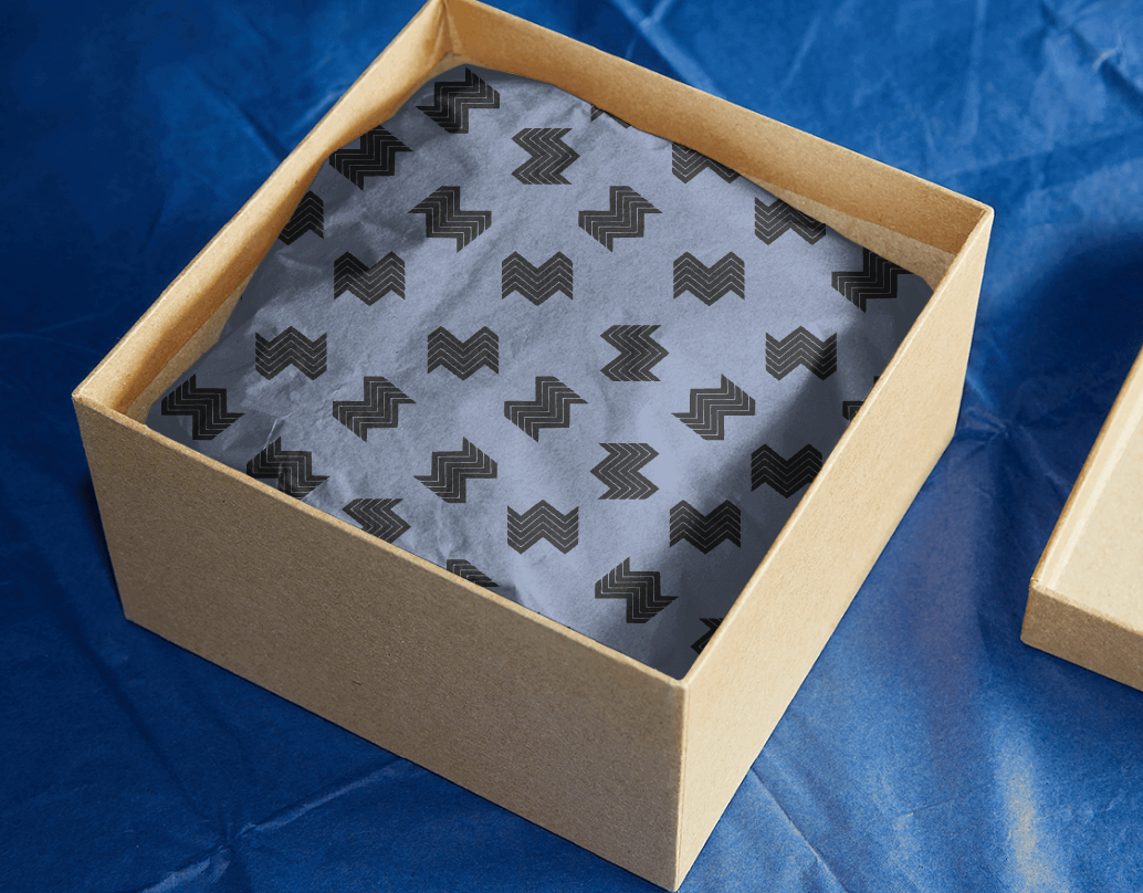 Логотип компании «Моделируемые системы» 3