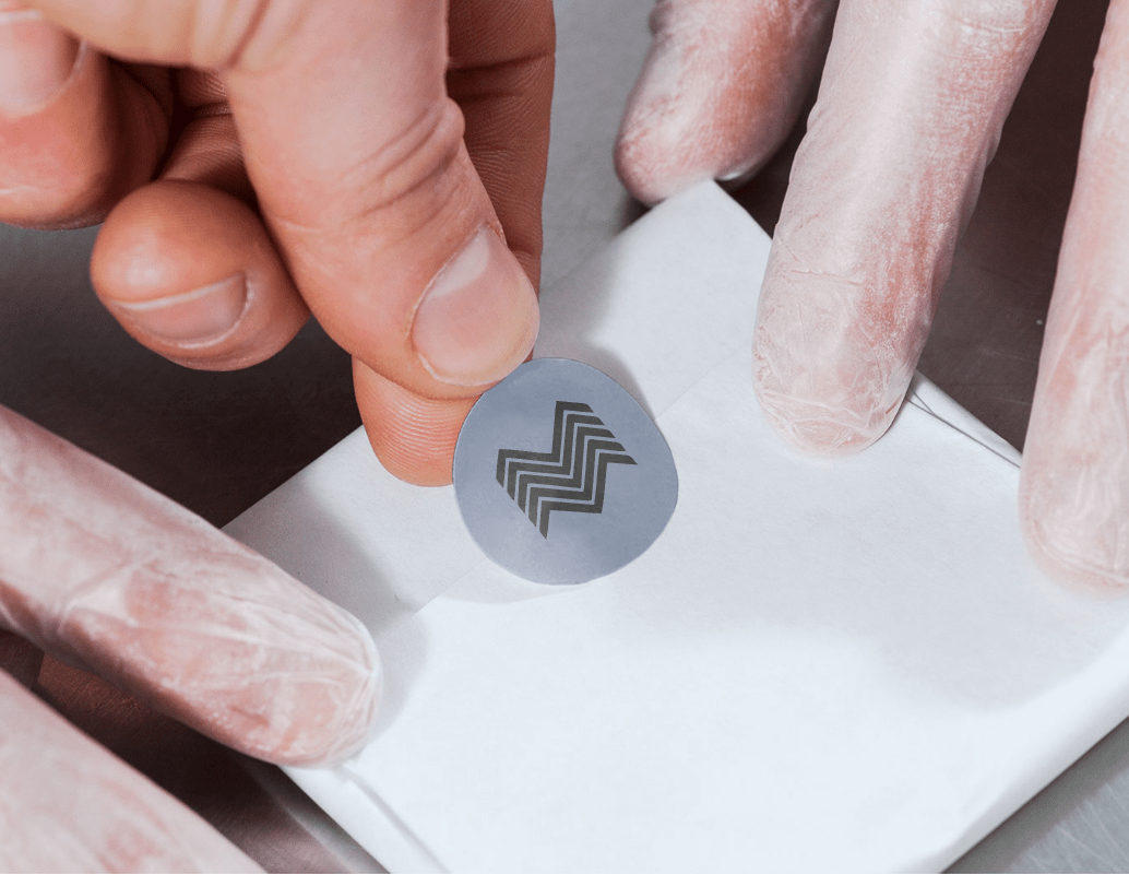 Логотип компании «Моделируемые системы» 2