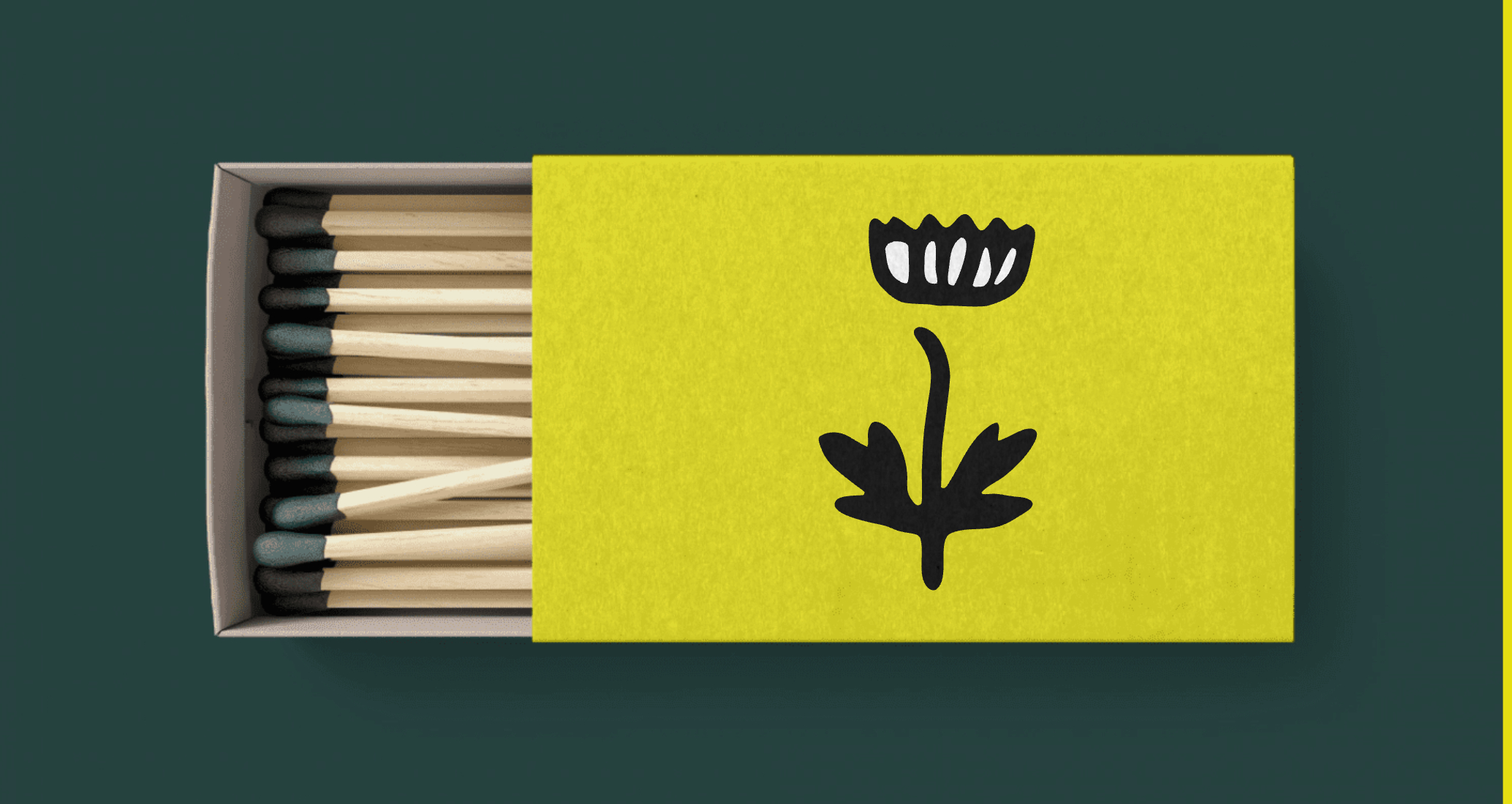 Логотип компании «Давыдова Полина» 2