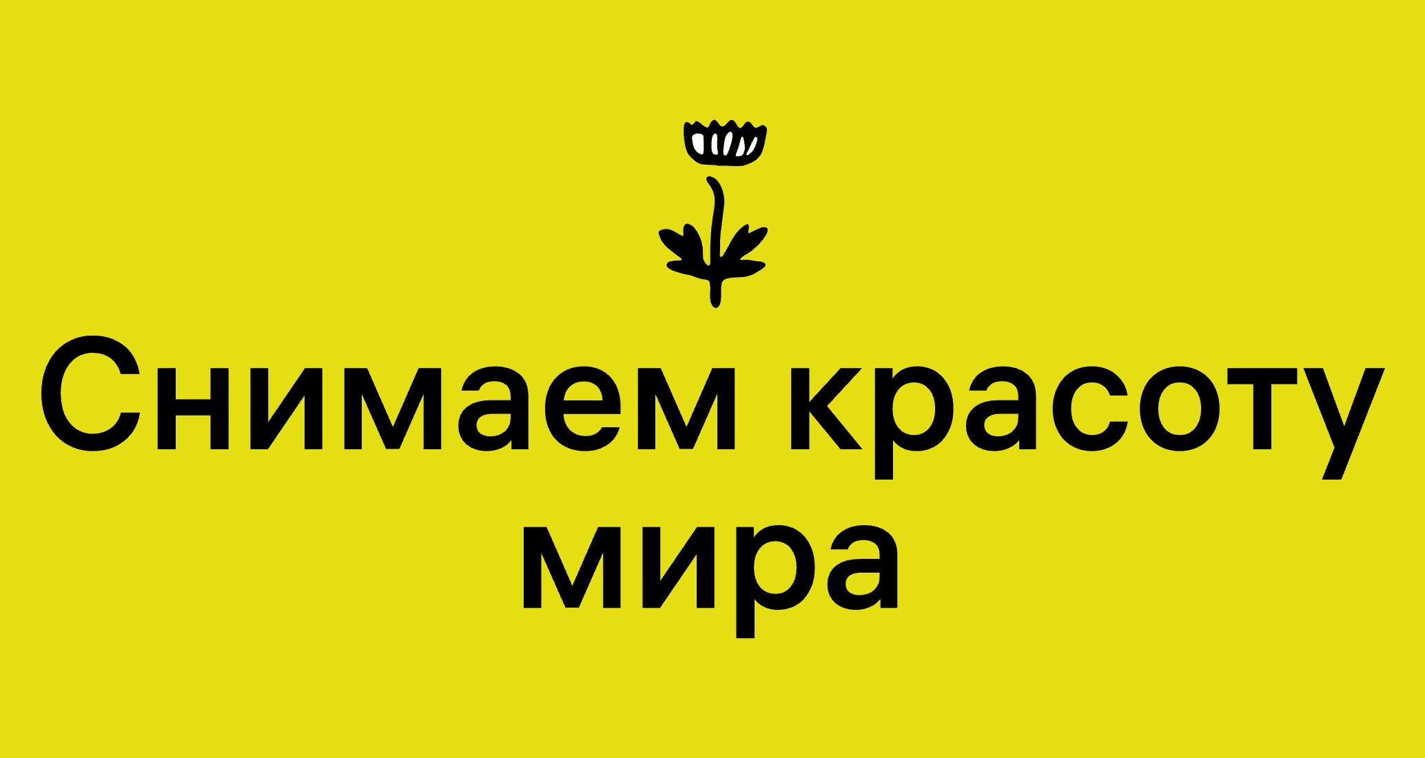 Логотип компании «Давыдова Полина» 5
