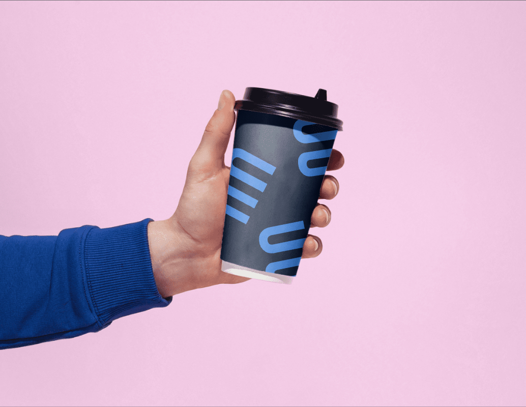 Company logo «Stability Guard ML» 2