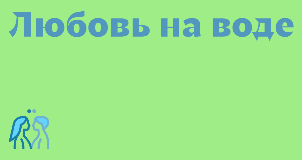 Company logo «zavidui» 5