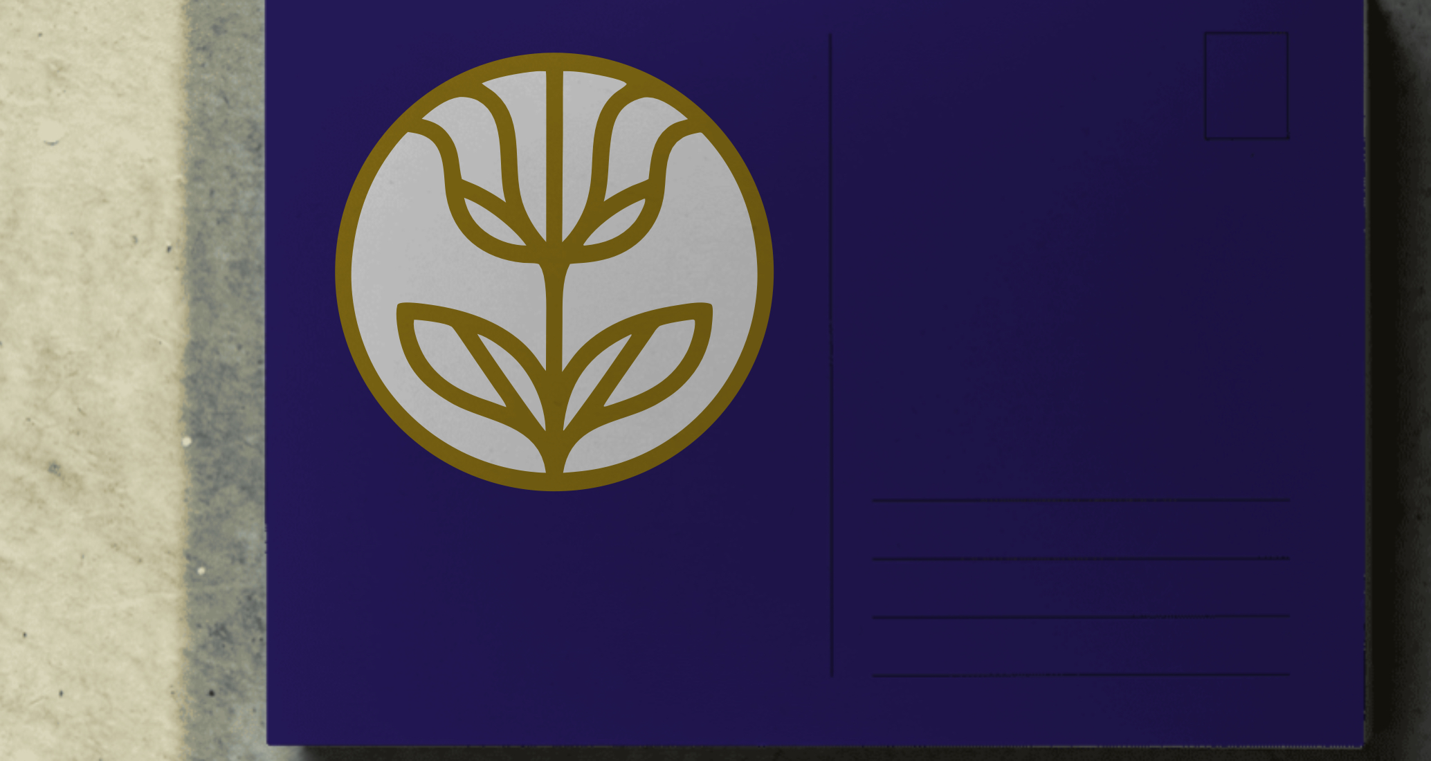 Логотип компании «TAVÉ» 4