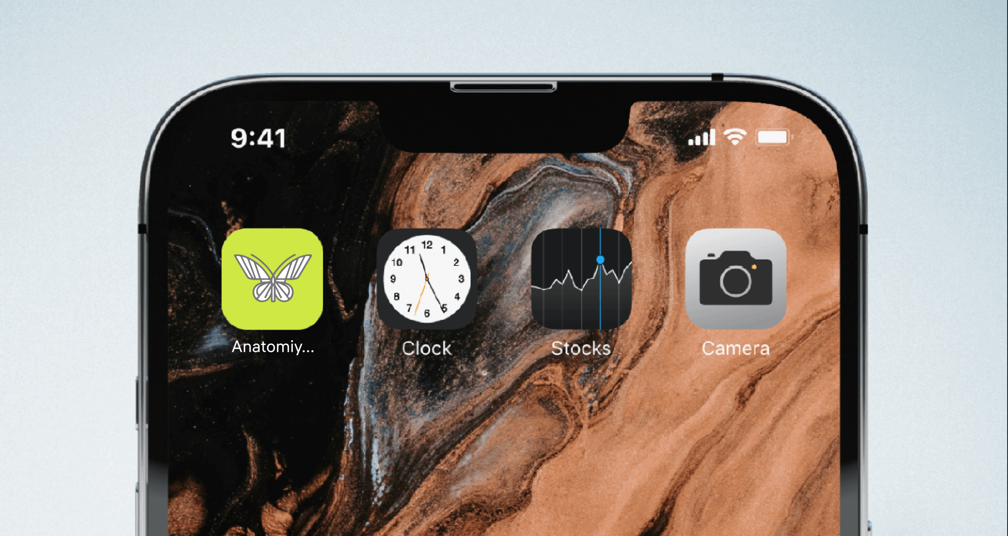 Logo of Anatomiya.Fashion