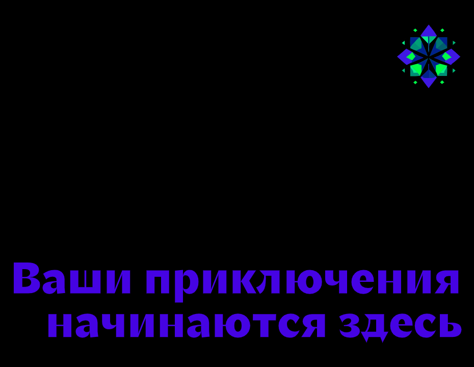 Логотип компании «Somewhat Reliable» 5