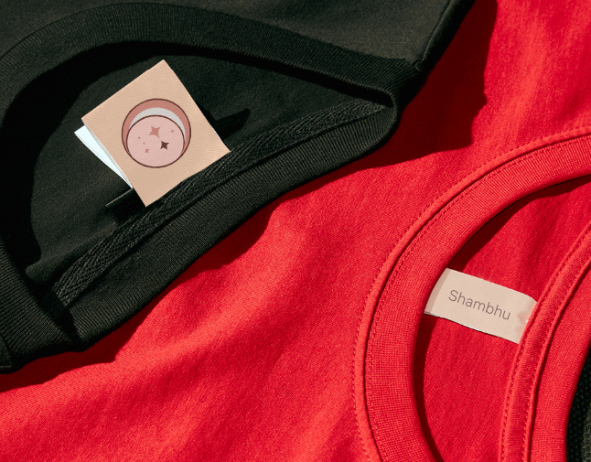 Company logo «Shambhu» 3