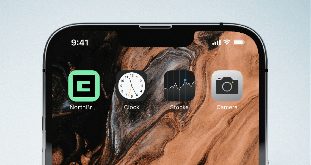 Logo of NorthBrigde Finance