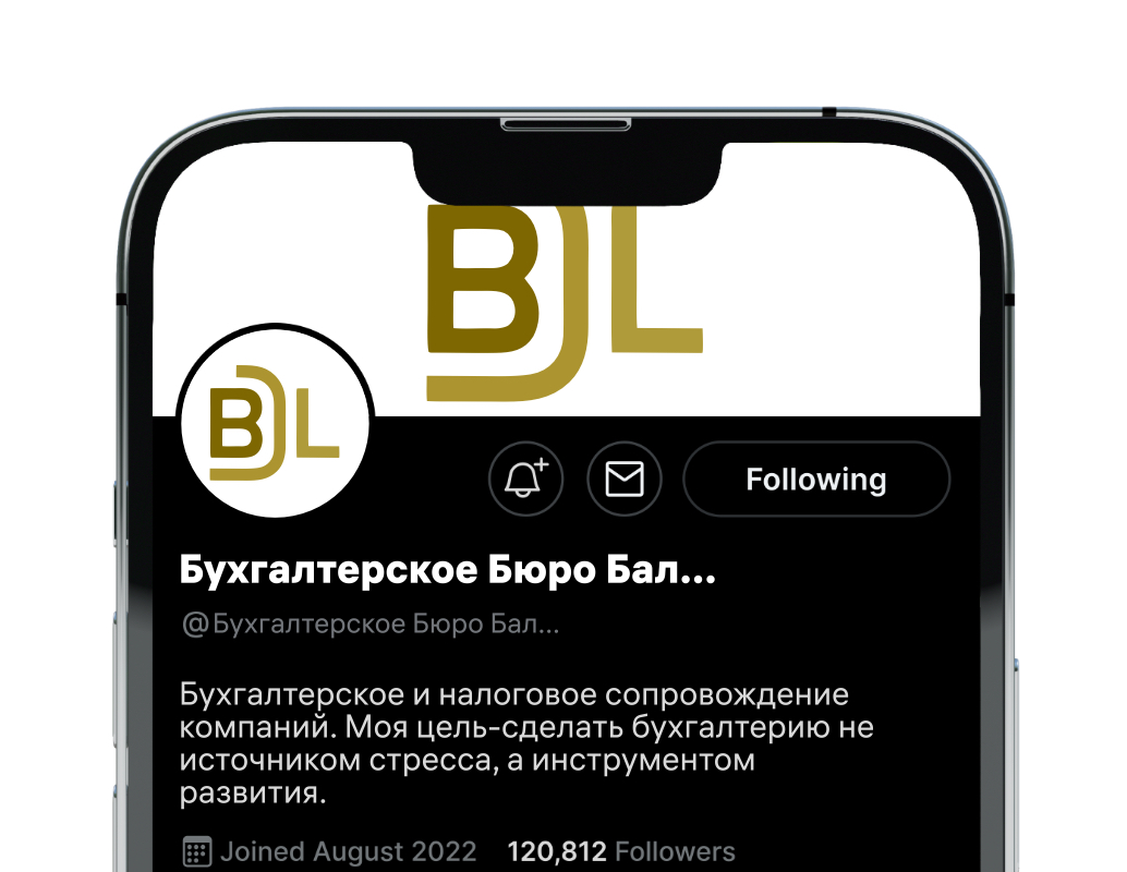 Логотип компании «Бухгалтерское Бюро БалансПро» 1