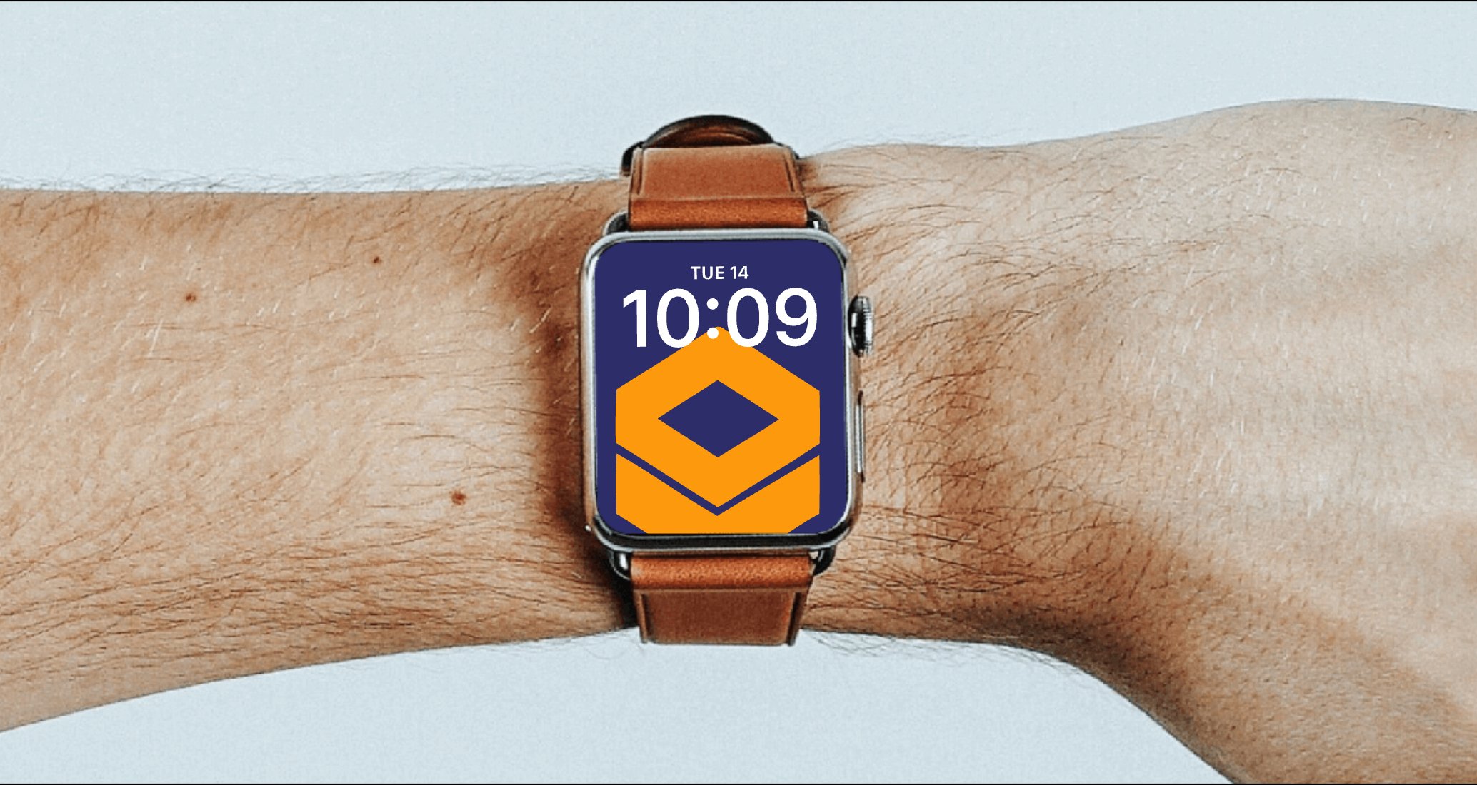 Логотип компании «Чижков» 1