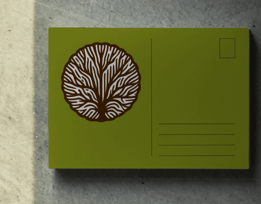 Логотип компании «Инновационная образовательная экосистема Ступени» 4