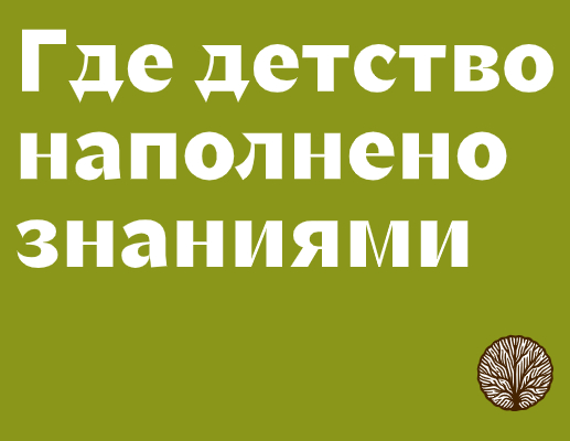 Логотип компании «Инновационная образовательная экосистема Ступени» 5