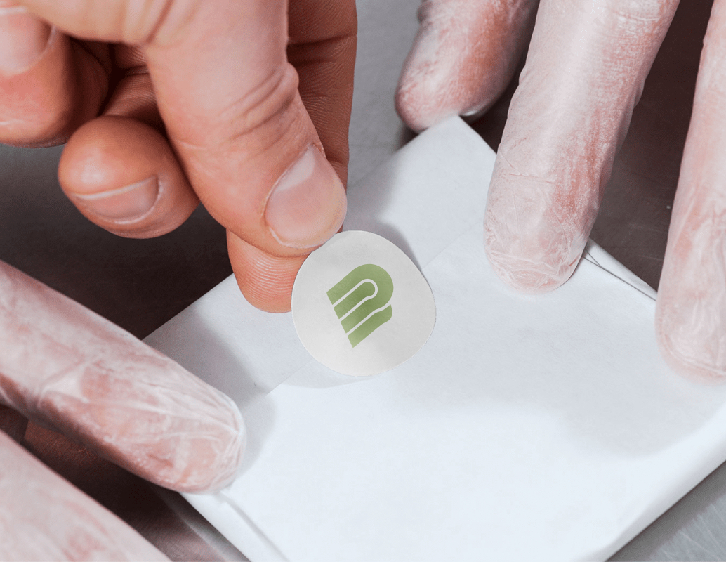 Company logo «PitchPlan» 2