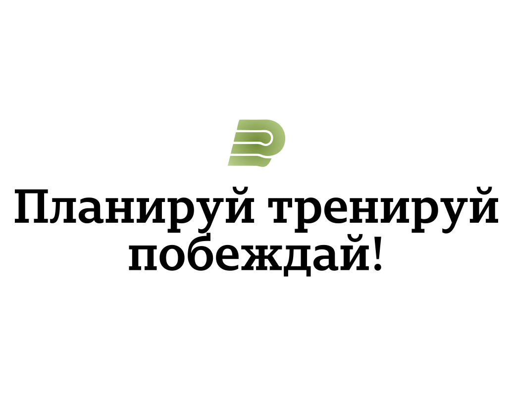 Company logo «PitchPlan» 4