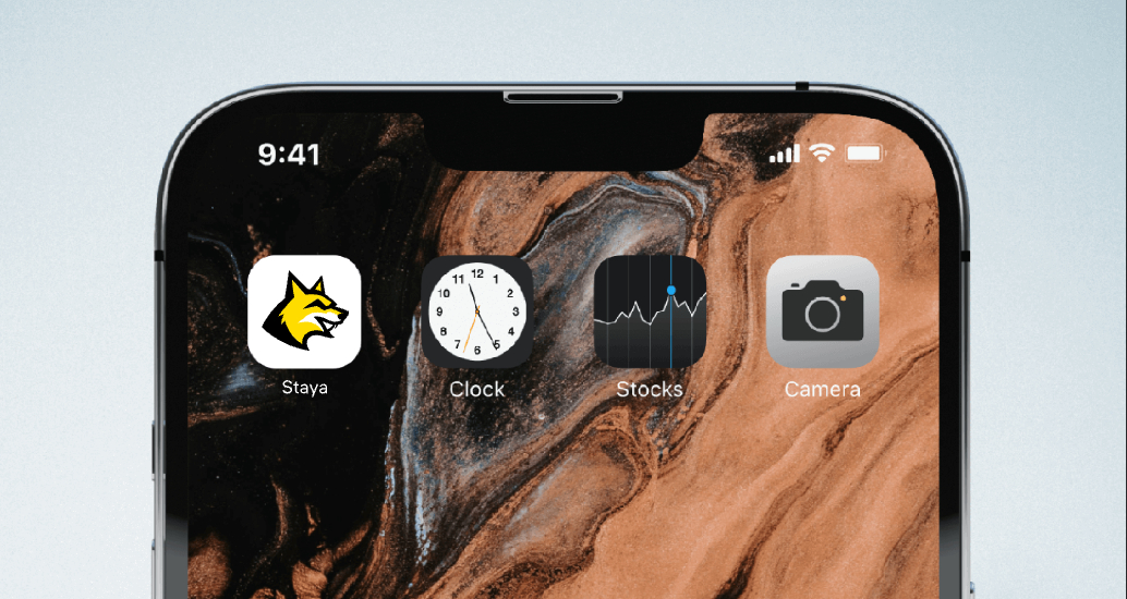 Логотип компании «Staya» 1
