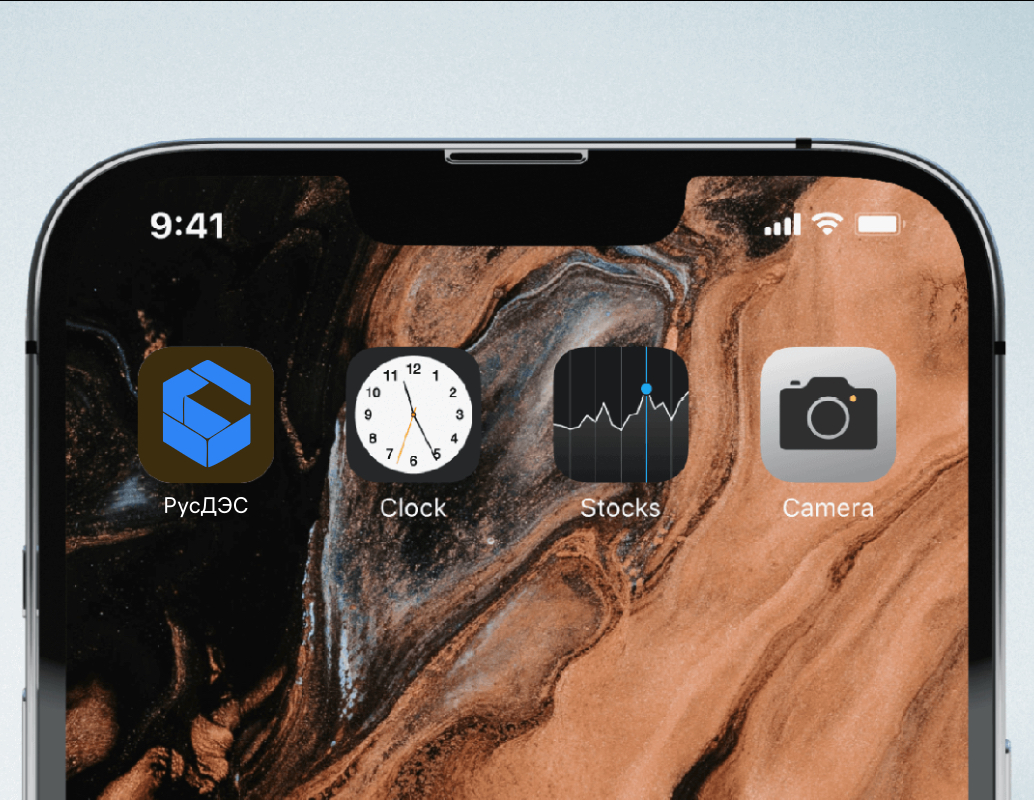 Logo of РусДЭС