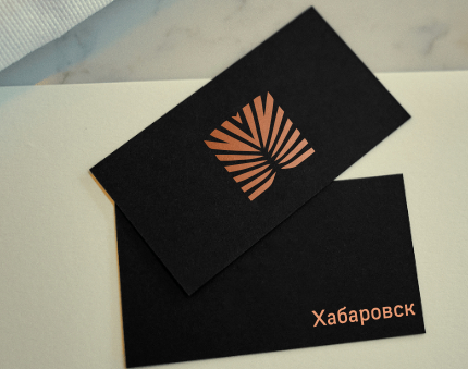 Логотип компании «Хабаровск» 3