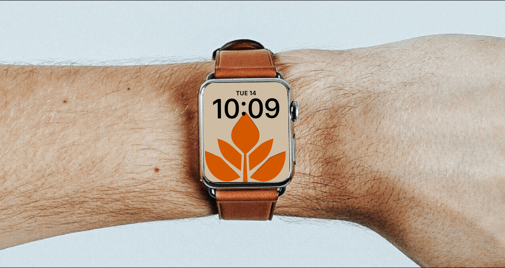 Logo of Аннэль