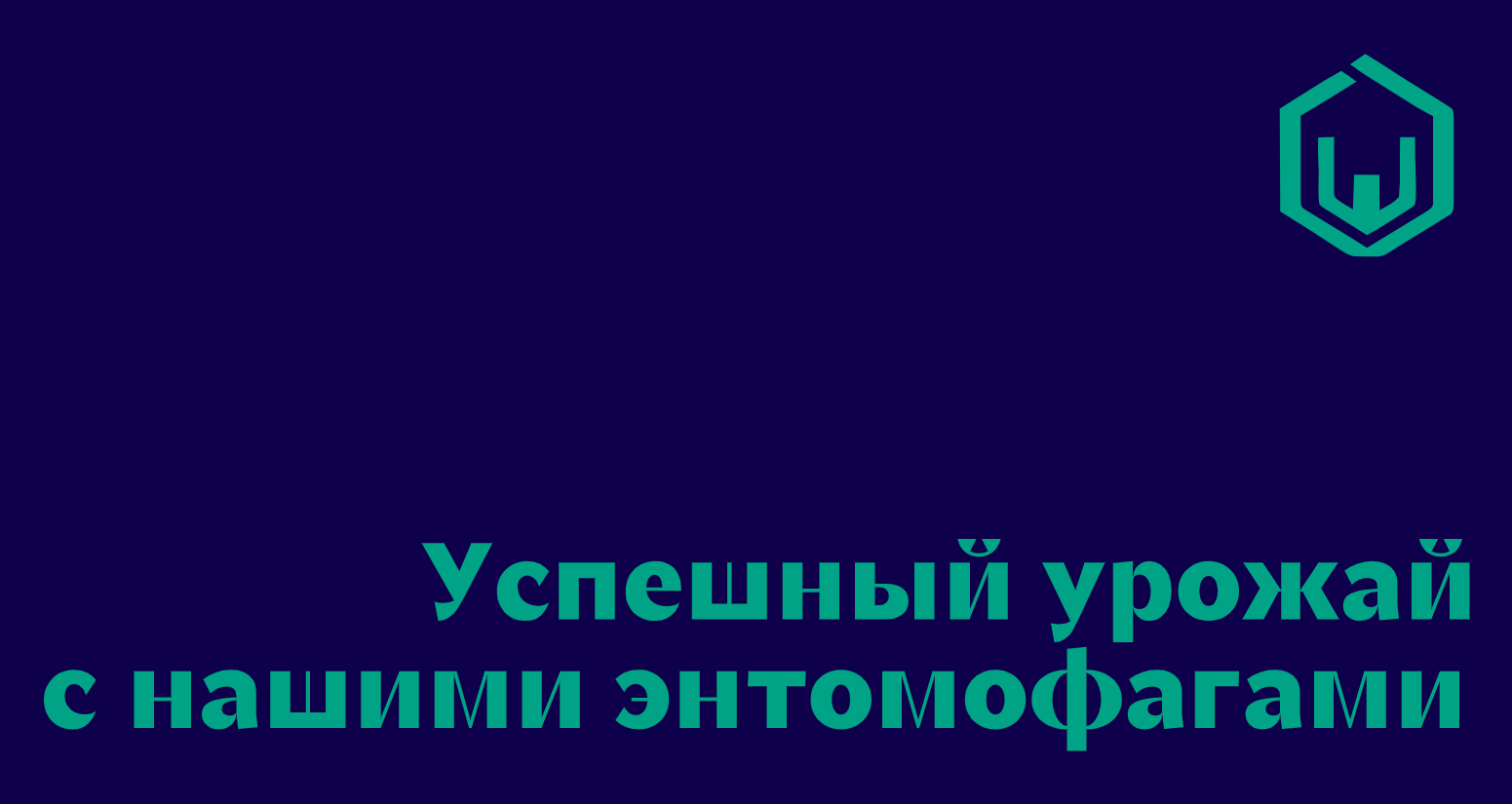 Логотип компании «ЭнтоНика» 5