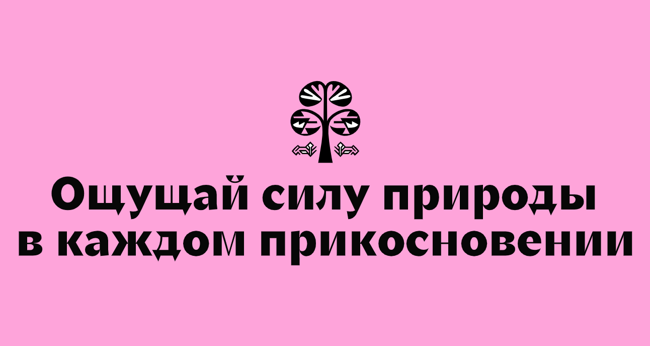 Логотип компании «Дыхание леса» 5