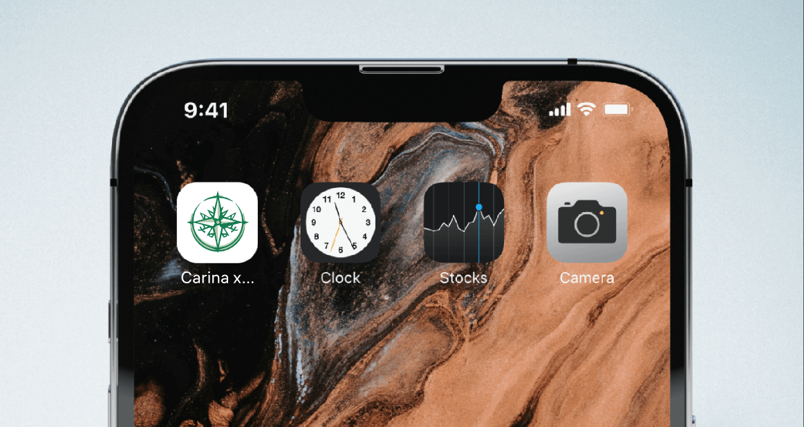 Logo of Carina x Sails