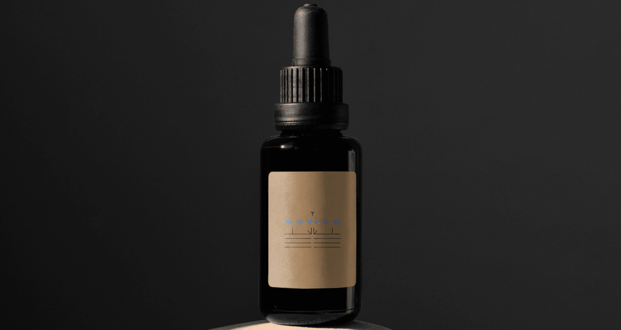 Логотип компании «Винодельня Верялина» 2