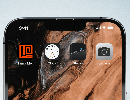 Логотип компании «Тайга Медиа» 1